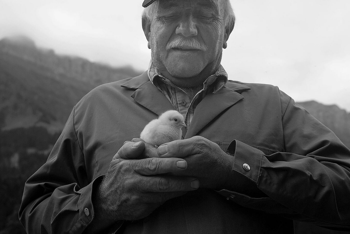 Nach all den Jahren ist Lehmeli Chrigu überzeugt, dass das Huhn, nicht das Ei, zuerst da war.