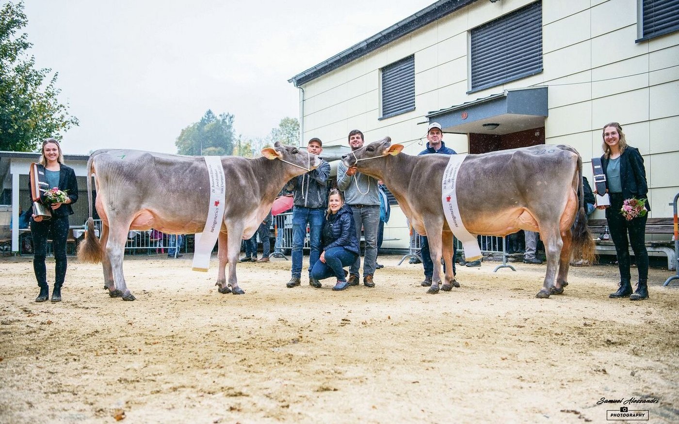 Grand Champion der 26. Entlebucher Eliteschau: Franzen BS Salomon Sina (rechts) mit Vize Heinen’s Superstar Yasmin, beide im Besitz von Franz und Pascal Felder, Marbach LU.