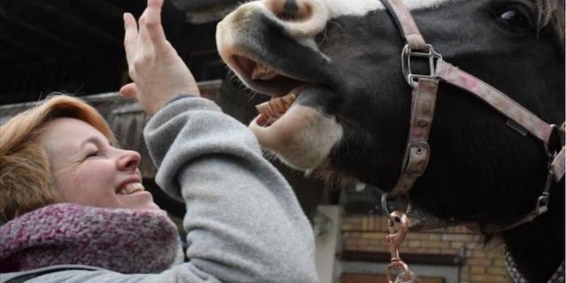 Zwei, die gerne etwas Neues entdecken. Daniela Joder und ihr Biest Elaya. (Bild dj)