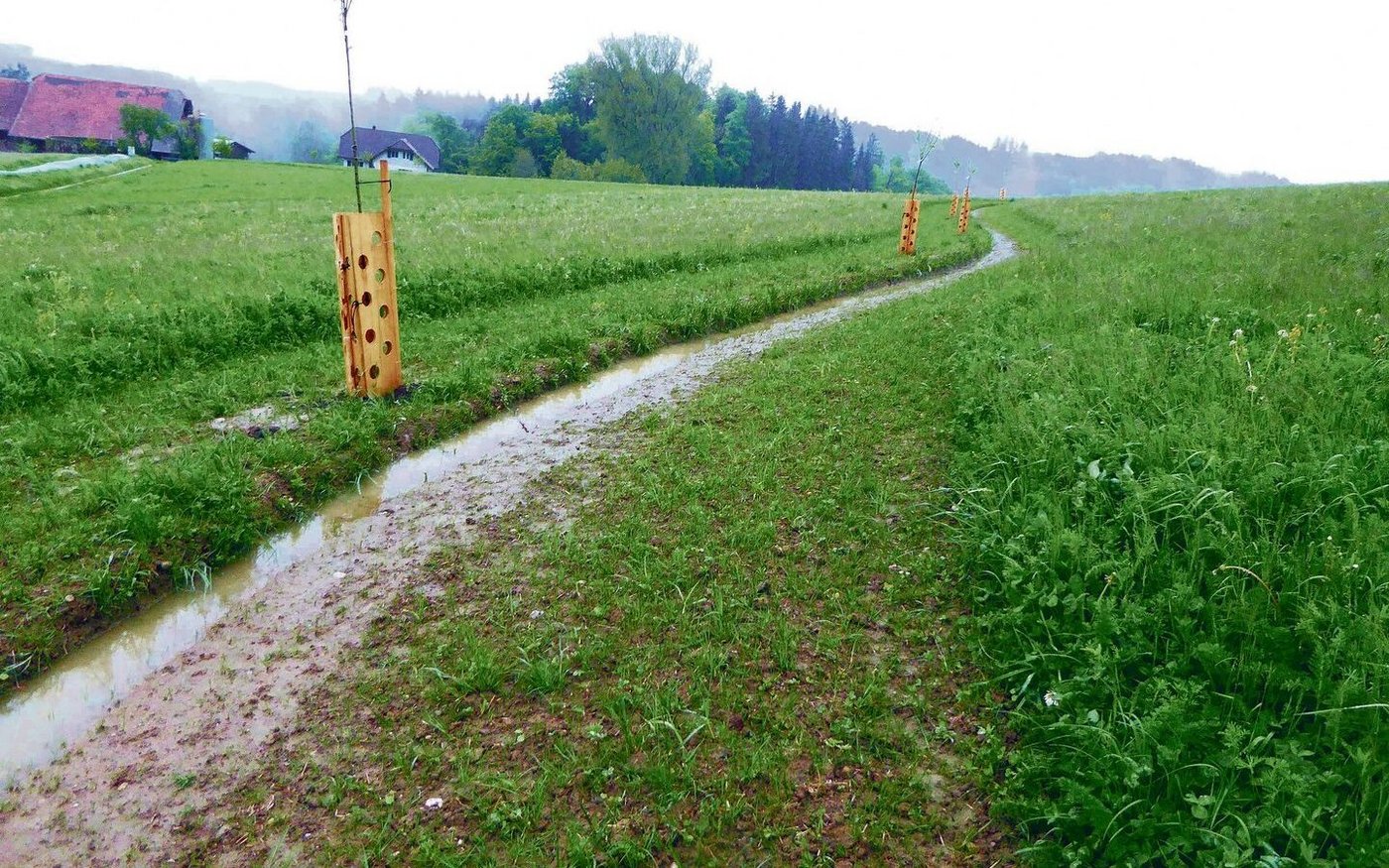 Den Verlauf der Wasserkanäle hat Markus Schwegler mit GPS-Daten abgesteckt und anschliessend eine Kante ausgebaggert. Darin soll das Wasser primär versickern oder bei zu grossen Mengen in den Speicher fliessen. 
