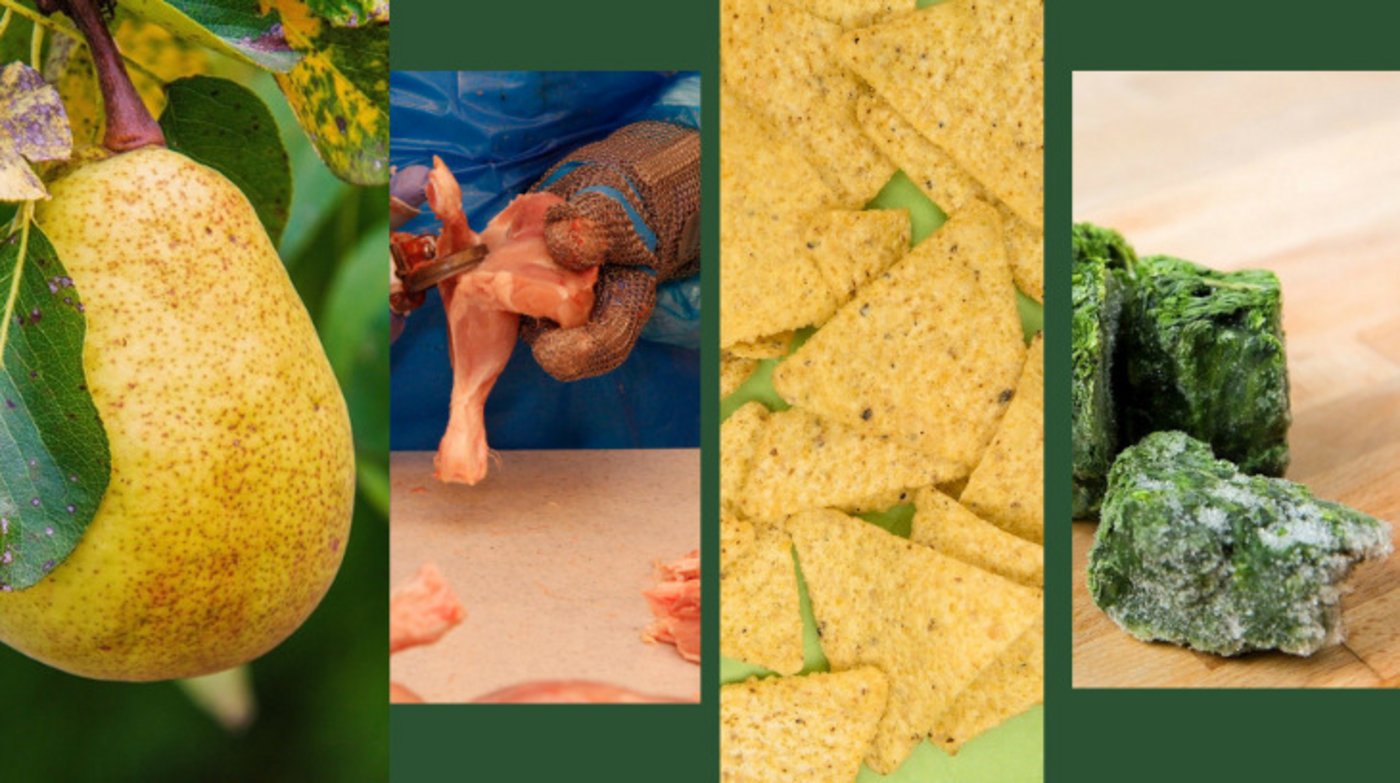 Von den Agrar-Initiativen besonders betroffen wären laut dem St. Galler Bauernverband Spezial- sowie gewisse Ackerkulturen und die Geflügel- und Schweinebetriebe – damit auch die nachgelagerten Betriebe. (Bilder Pixabay NickyPe, viarami, No-longer-here / St. Galler Bauernverband) 