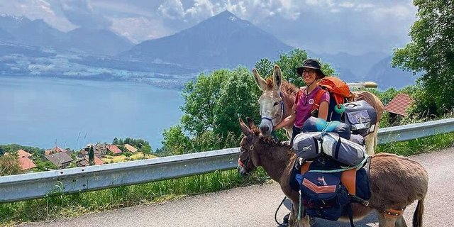 Unterwegs über dem Thunersee: Sofia Benagli mit dem 7-jährigen Wallach Leopoldo und der 19-jährigen Eselin Batuffola. Im Hintergrund der Niesen. 