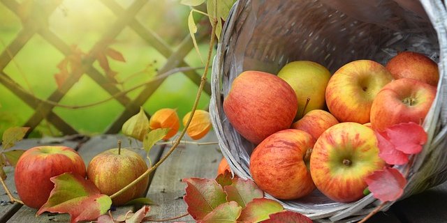 137 180 Tonnen Mostäpfel gingen diese Saison in die Mostereien. (Bild pixabay)