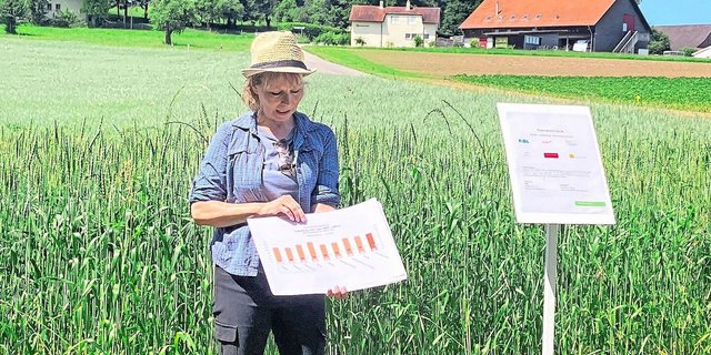 Katrin Carrel empfiehlt interessierten Dinkelproduzent(innen), schon vor der Aussaat einen Marktpartner zu suchen.