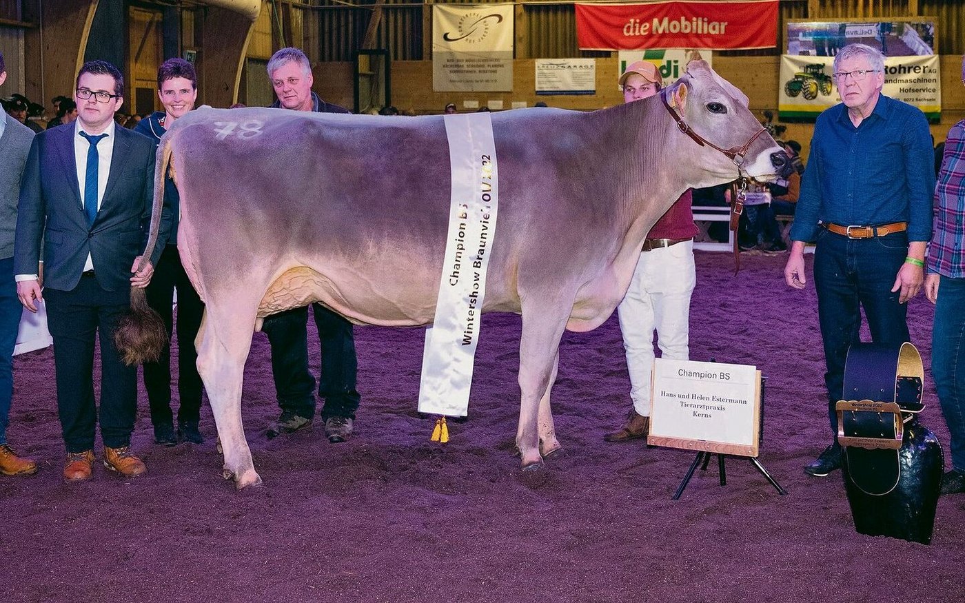 Die Swiss Classic Champion setzte sich auch an ihrer Heimschau durch: Phill Estell von der Familie Wallimann, Alpnach Dorf.  