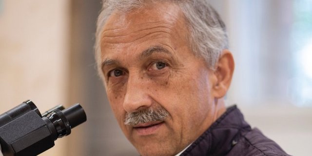 Guido Wehrle ist auf Pferdeparasiten spezialisiert. Bild: Pia Neuenschwander