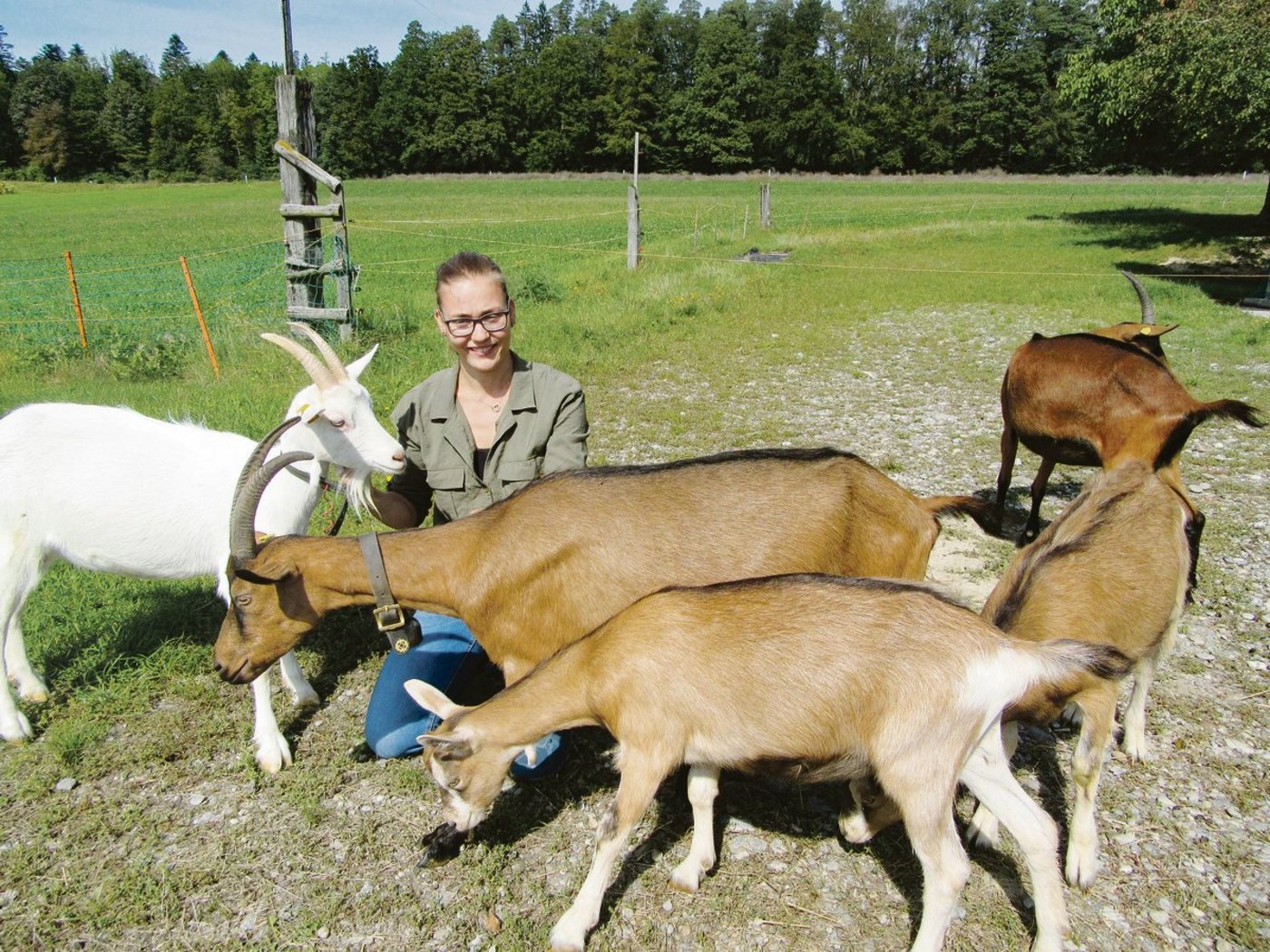 Die Übernahme des Hofs  der Grosstante ist zwar erst auf 2021 geplant, aber Landwirtin Valentina Gasser hält jetzt schon eine Ziegenherde. Sie will ebenfalls die Hühnerhaltung erweitern und in die Rindviehhaltung einsteigen.(Bild Margreth Rinderknecht)