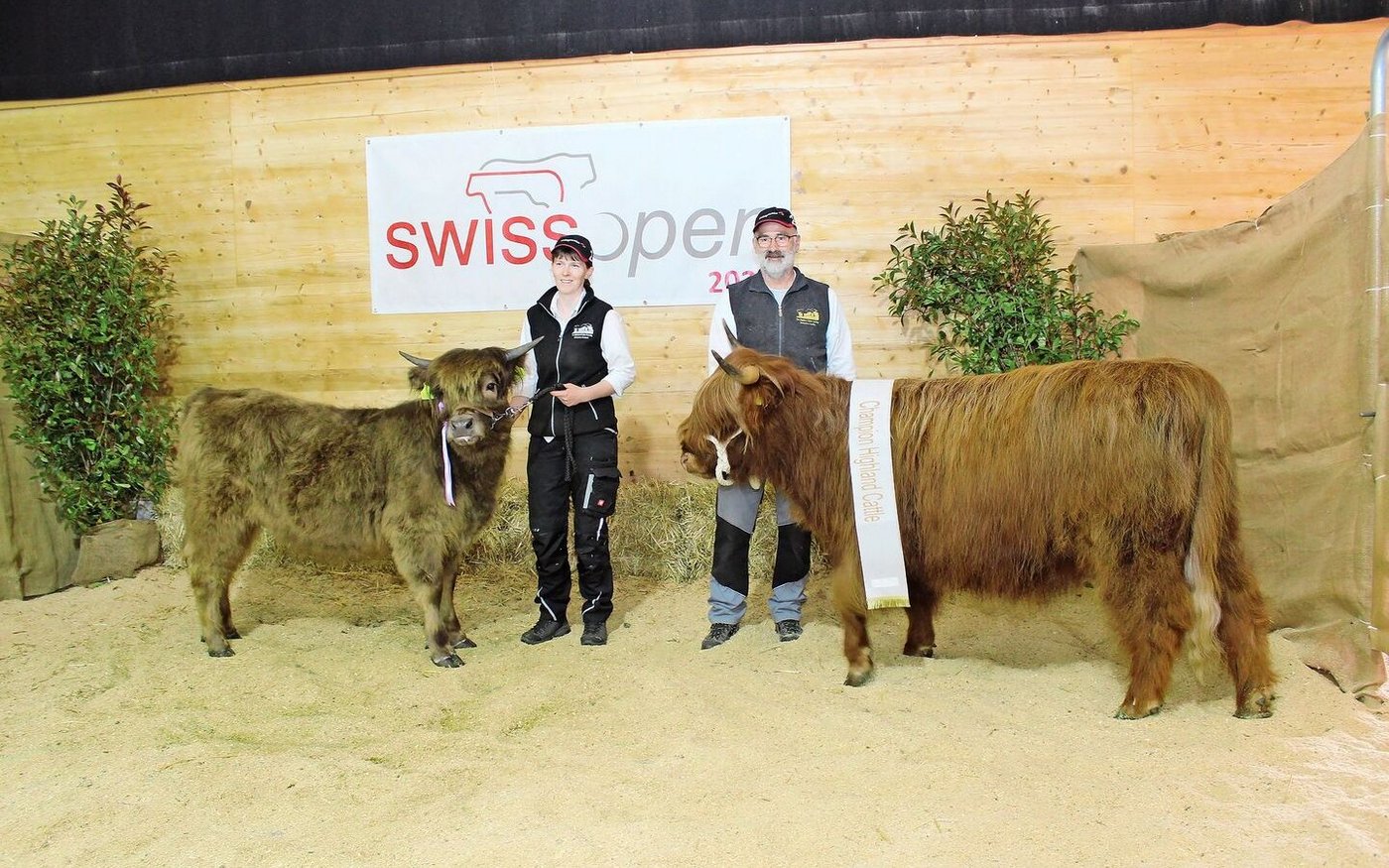 Champion bei den Highland Cattle wurde Shona of Stonehill von Regula und Max Flückiger, Leimiswil BL. 