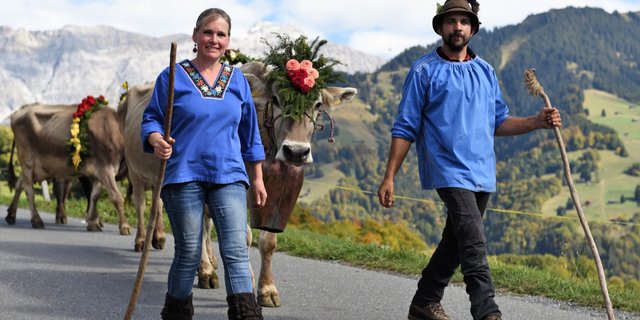 Vor imposanter Kulisse ziehen die Kühe am Prättigauer Alpspektakel wieder ins Tal - nach Seewis GR. (Bilder zVg)