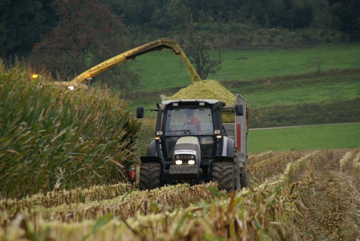 Das Thema Unfallverhütung stärker in den Fokus gerückt werden. (Symbolbild/lid)
