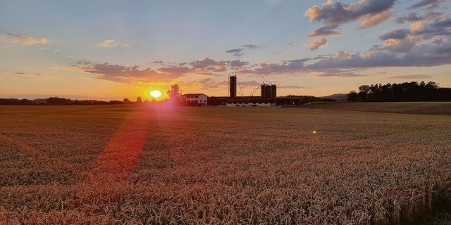 Aktuell müssten die Landwirtinnen und Landwirte ihren verdienten Feierabend dafür nutzen, sich schlau zu machen, was 2023 für Neuerungen bringt.