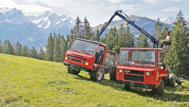 Die beiden Transporter in vollem Einsatz. Beides sind gute und zuverlässige Maschinen, die man aber manchmal auch warten muss. (Bild Toni Bergmann)