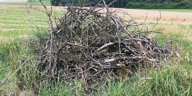 Ein Asthaufen für Kleinsäugetiere und Insekten gilt als Kleinstruktur.