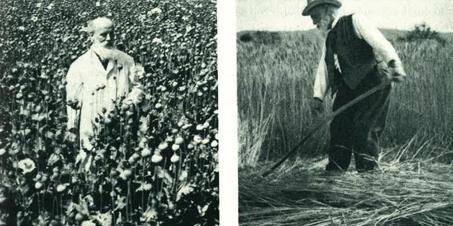 Während die militärtauglichen Männer in die Armee eingezogen wurden, galt es für die Daheimgebliebenen, wie unseren fiktiven Greis Kari, den Bauernhof zu bewirtschaften. (Bild Frau de Quevedo)