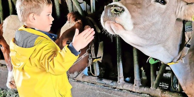 Mit dem Tag der offenen Hoftüren sollte die Bevölkerung Gelegenheit erhalten, auf einem Bauernhof «reinzuschauen».