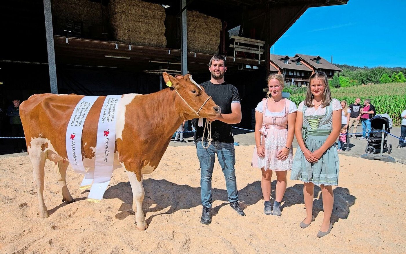 Miss Swiss Fleckvieh und Miss SF-Schöneuter wurde die eindrückliche Erstlingskuh Robin Kenya P aus dem Stall von Alban Hügli aus Brislach.