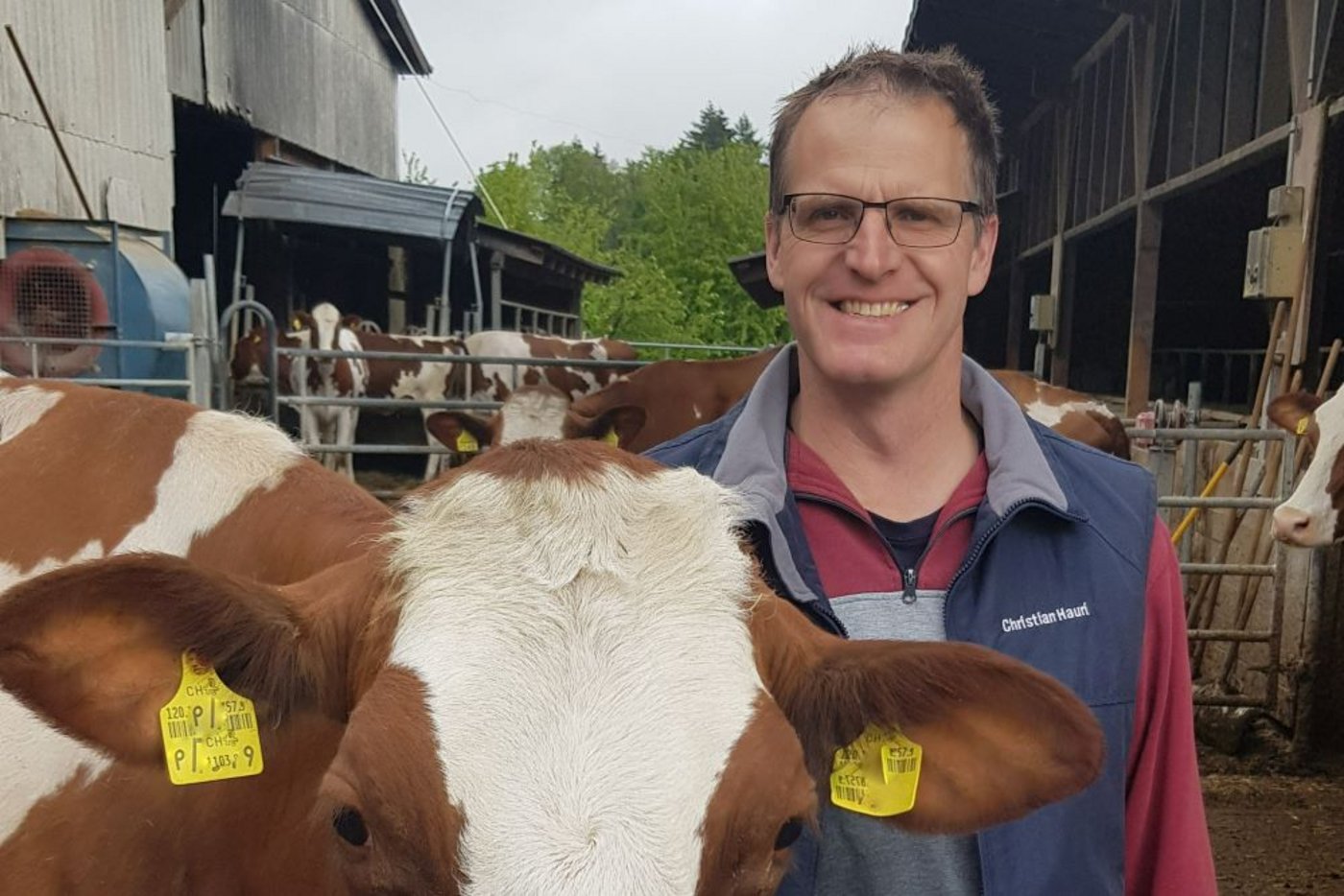 Christian Hauri, Leiter des OK-Teams und SHB-Züchter aus Seon, verkauft an der Auktion auch selber Tiere. (Bild Claudia Hauri)