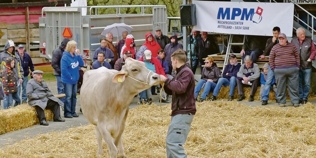 Impression von einer früheren Auktion auf dem Horben. Im Moment wird vor allem ab Stall verkauft.(Archivbild ha)