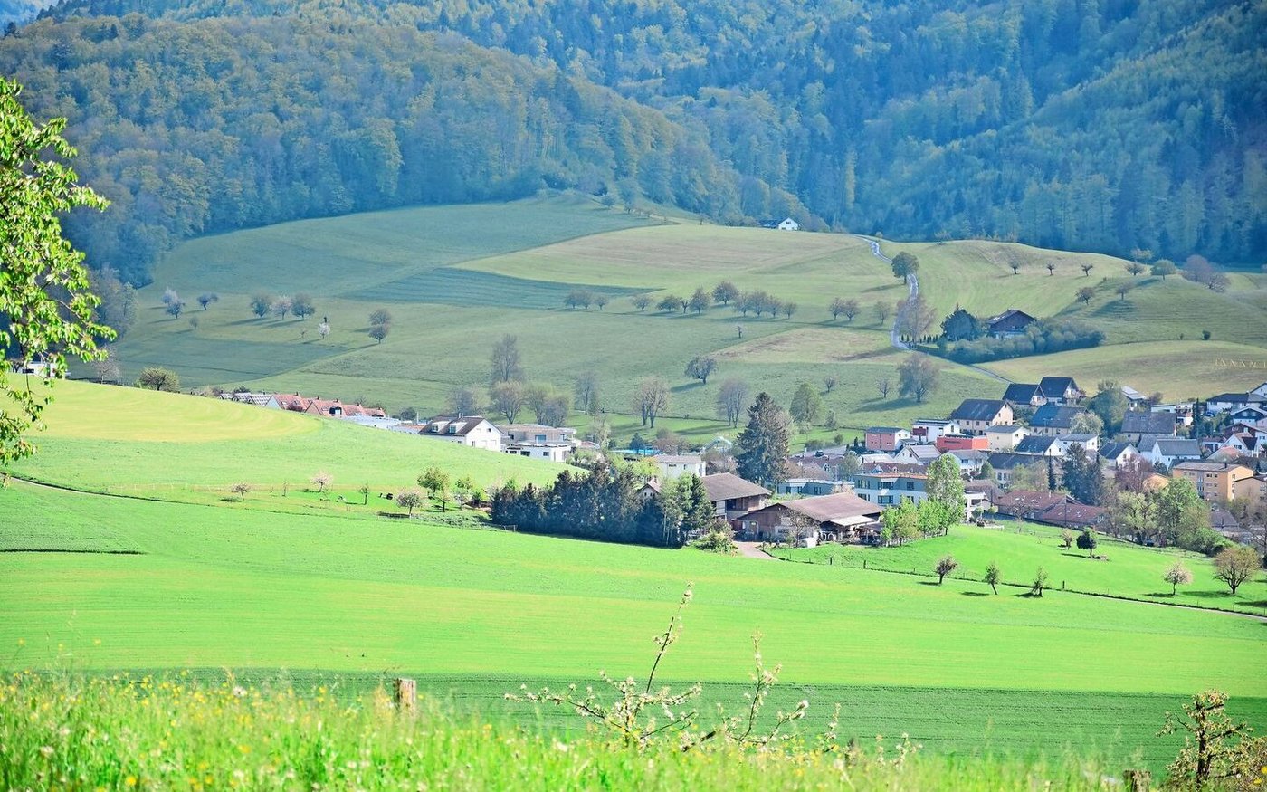 Die BDI will auch schöne Landschaften und Ortsbilder schützen, die für den Schweizer Tourismus zentral seien.