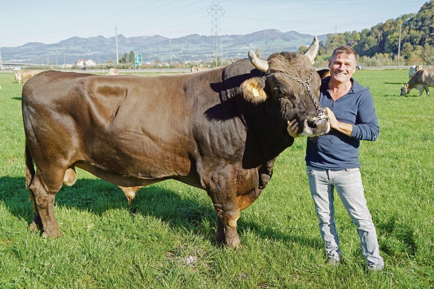 Pius Kamer mit seinem über 14 Jahre alten OB-Stier Gospel. Kamer legt Wert darauf, seinen Stier jeden Tag anzusprechen und ihn zu kraulen. Basis für das gute Auskommen seien Vertrauen und Respekt auf beiden Seiten.(Bilder Michael Götz)