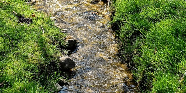 Abschwemmung ist eine der Möglichkeiten, wie Pflanzenschutzmittel in Gewässer gelangen können und die im Rahmen des Berner Pflanzenschutzprojekts mit Massnahmen reduziert werden sollen. (Symbolbild Alexas_Fotos / Pixabay)