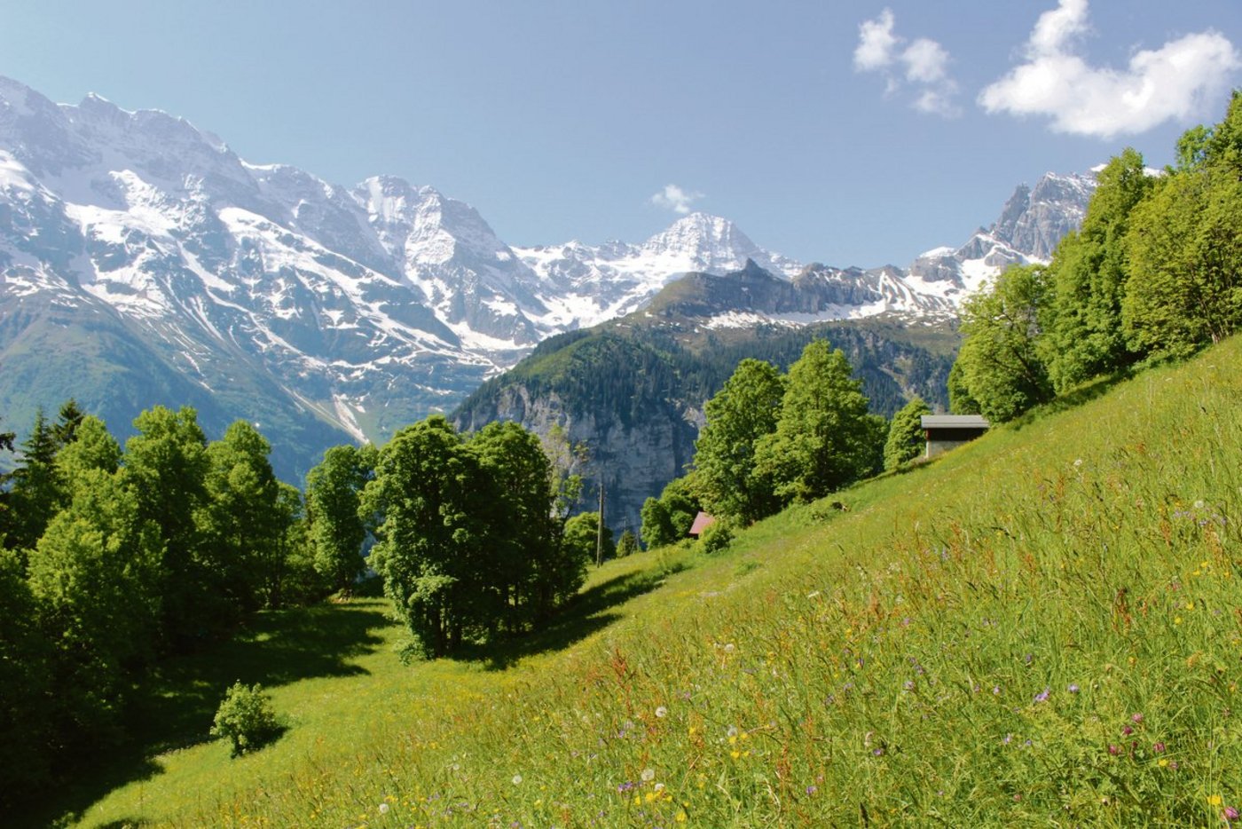 Das Gebiet Schwendi ob Lauterbrunnen wurde gestern für seine ökologischen und ästhetischen Werte mit dem Kulturlandschaftspreis ausgezeichnet. (Bilder zVg)