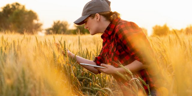 Agroscope wird restrukturiert. Die daraus entstehen Gewinne fliessen in die Agrarforschung. (Bild SBV)