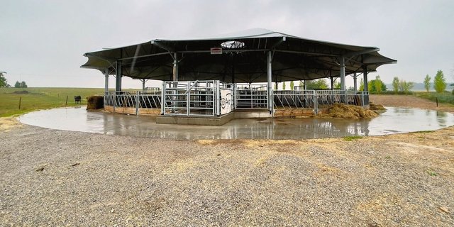 Was aussieht wie ein Zirkuszelt ohne Seitenwände ist ein Roundhouse-Stall. Das Dach mit 30 Meter Durchmesser bietet den Tieren Schutz vor Regen, gleichzeitig aber auch frische Luft und Komfort.