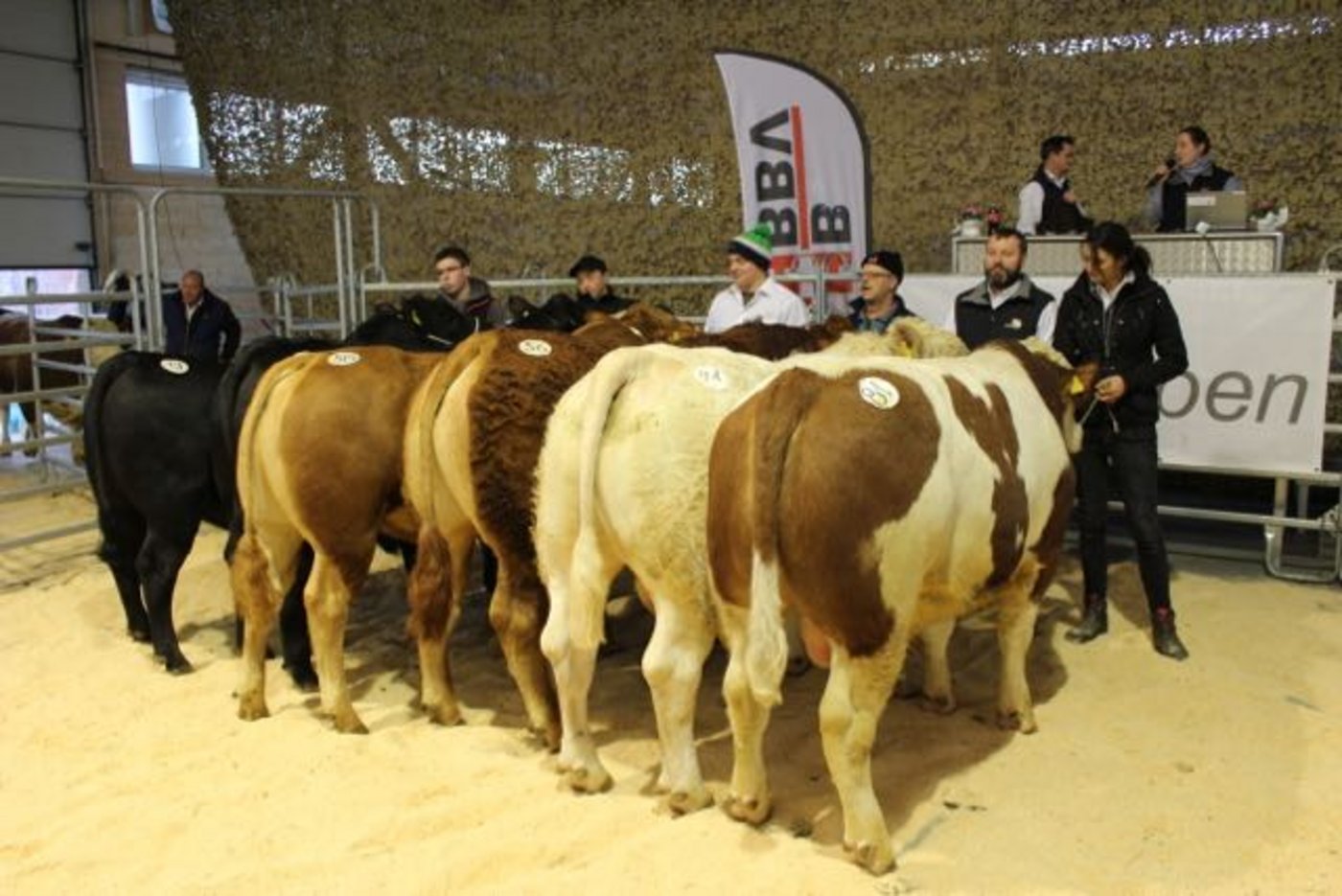 Der Winter-Stierenmarkt bietet dem Käufer eine breite Palette der Schweizer Fleischrinderzucht. (Bild Mutterkuh Schweiz)