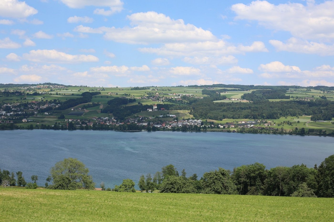 Auf gutem Weg bei der Seesanierung, aber noch nicht gesund: Der Baldeggersee. 