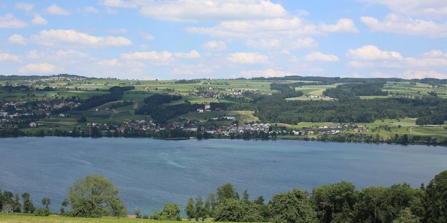 Auf gutem Weg bei der Seesanierung, aber noch nicht gesund: Der Baldeggersee. 