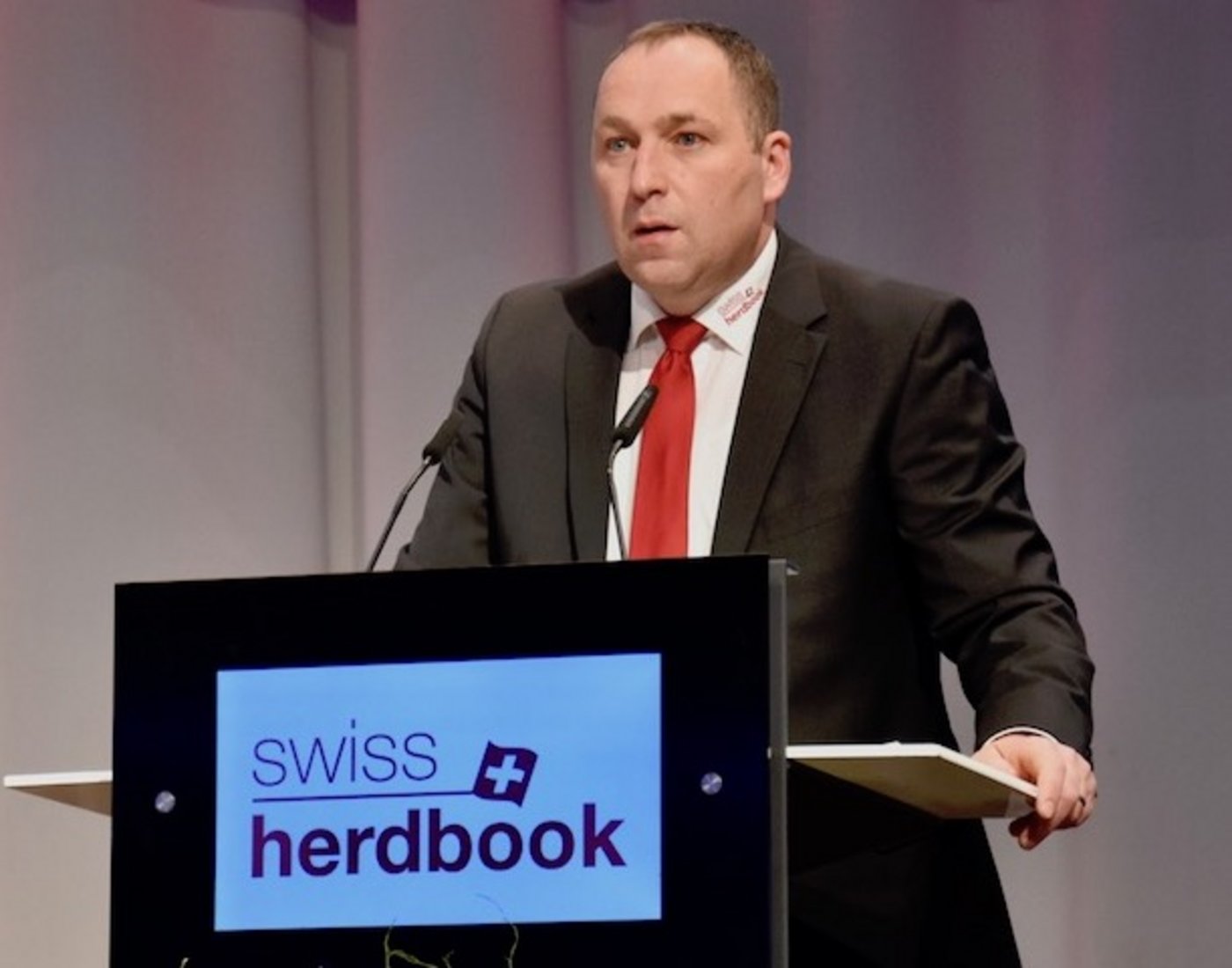 Was Markus Gerber am meisten beunruhigt, ist die Abhängigkeit von grossen Besamungszentren. (Bild jba)