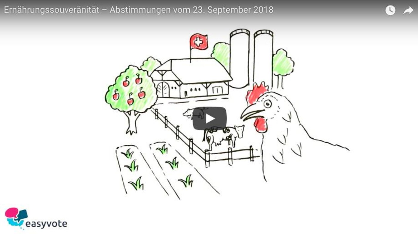 Die Easyvote-Videos erklären, was die Initiativen erreichen wollen. (Bild easyvote.ch)