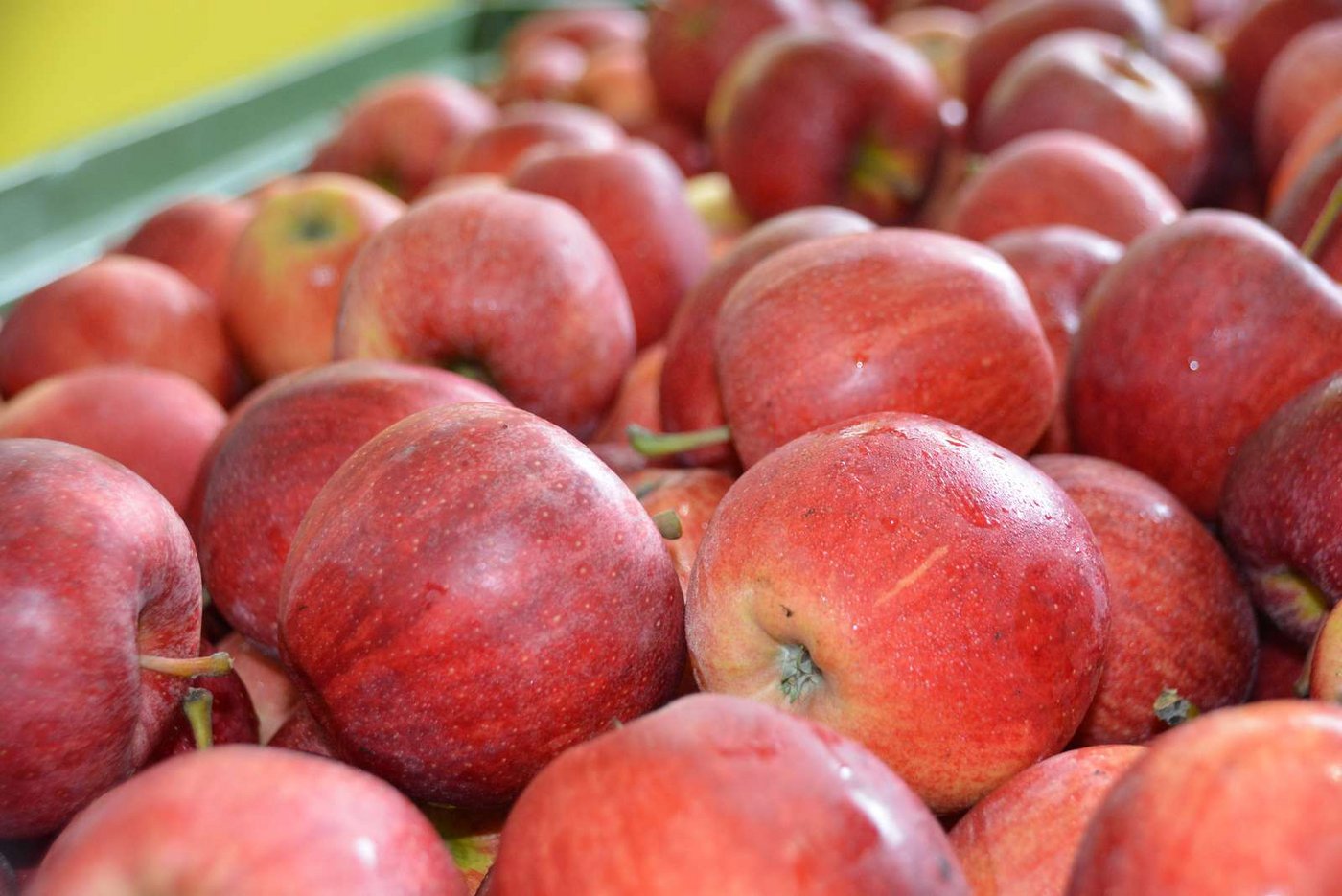 Noch sind Äpfel der letzten Ernte an Lager. (Symbolbild Armin Emmenegger)