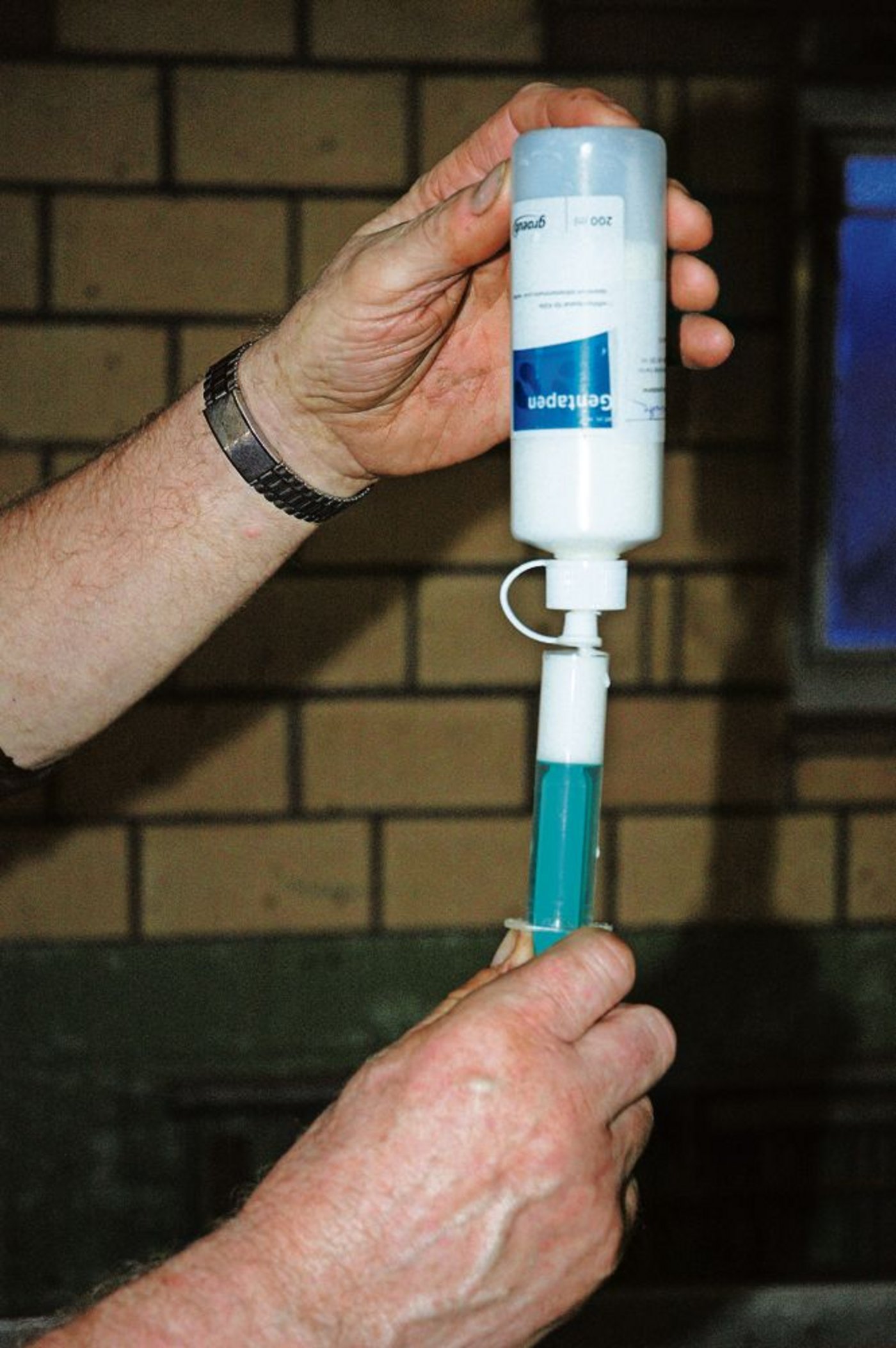 Der Einsatz von Antibiotika in der Nutztierhaltung ist zwar rückläufig, aber laut Branche immer noch zu hoch.  (Bild: Armin Emmenegger)