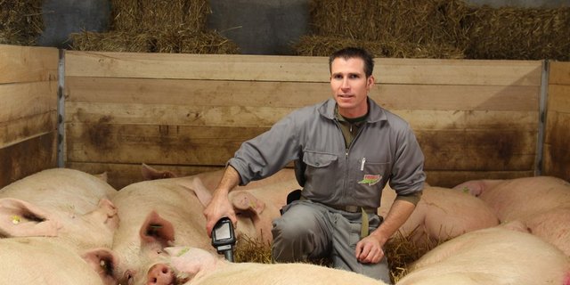 Peter Anderhub trägt bei seinen Stalldurchgängen jeweils einen Handterminal auf sich. Der Tierhalter kann so die Futtermenge individuell vor Ort korrigieren und weitere Daten abrufen. (Bilder mf)