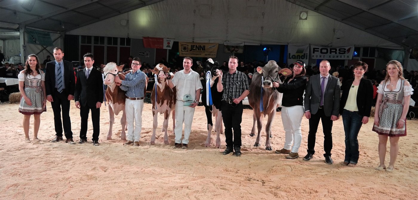 Manuel Bieri mit SF Sofia, Bernhard Salzmann mit RH Queeny, André Rüttimann mit Hol Pepita, Franziska Duss mit BS Espania (v. l. n. r.).  (Bilder jko)
