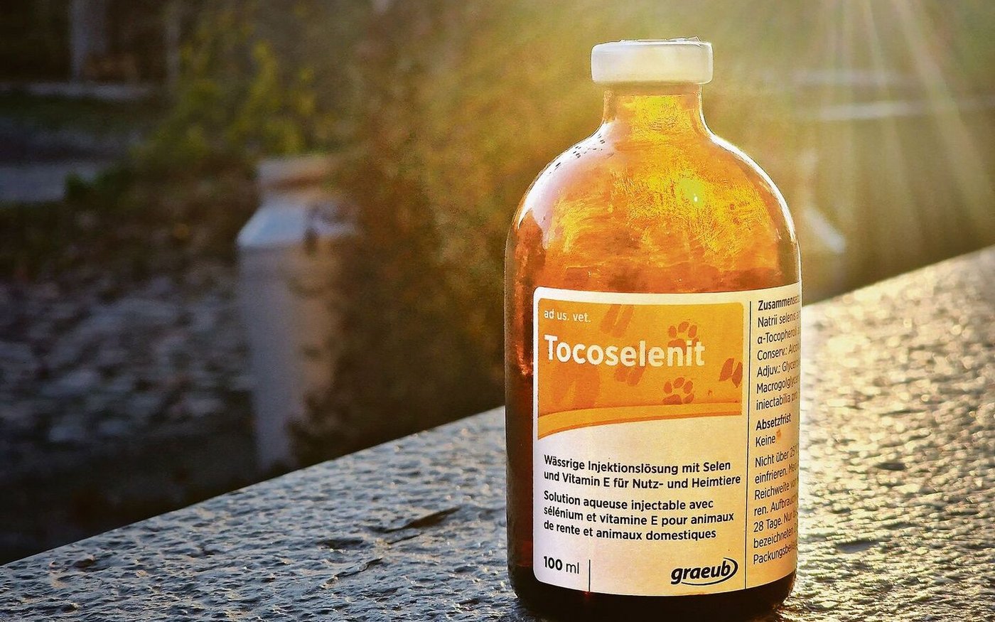 Das Selenpräparat aus dem Hause Graeub ist vergriffen. Die Schweiz mit ihren selenarmen Böden ist nun auch hier aufs Ausland angewiesen. Zudem  mangelt es aber auch an Sedationsmitteln zur Kälberenthornung. 