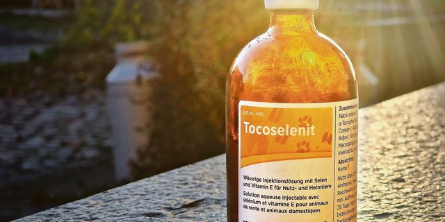 Das Selenpräparat aus dem Hause Graeub ist vergriffen. Die Schweiz mit ihren selenarmen Böden ist nun auch hier aufs Ausland angewiesen. Zudem  mangelt es aber auch an Sedationsmitteln zur Kälberenthornung. 