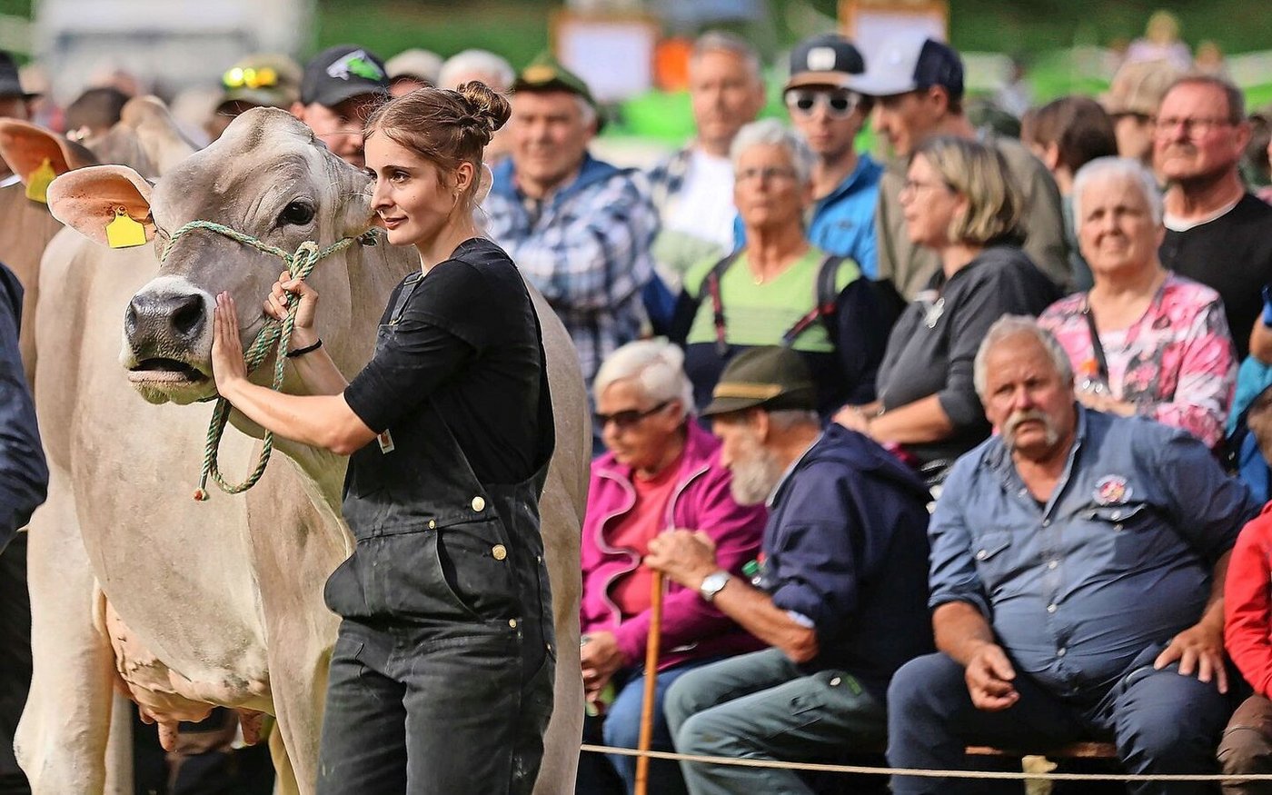 Viehschauen begeistern die Züchterinnen und Züchter und locken viel Volk auf die Schauplätze.