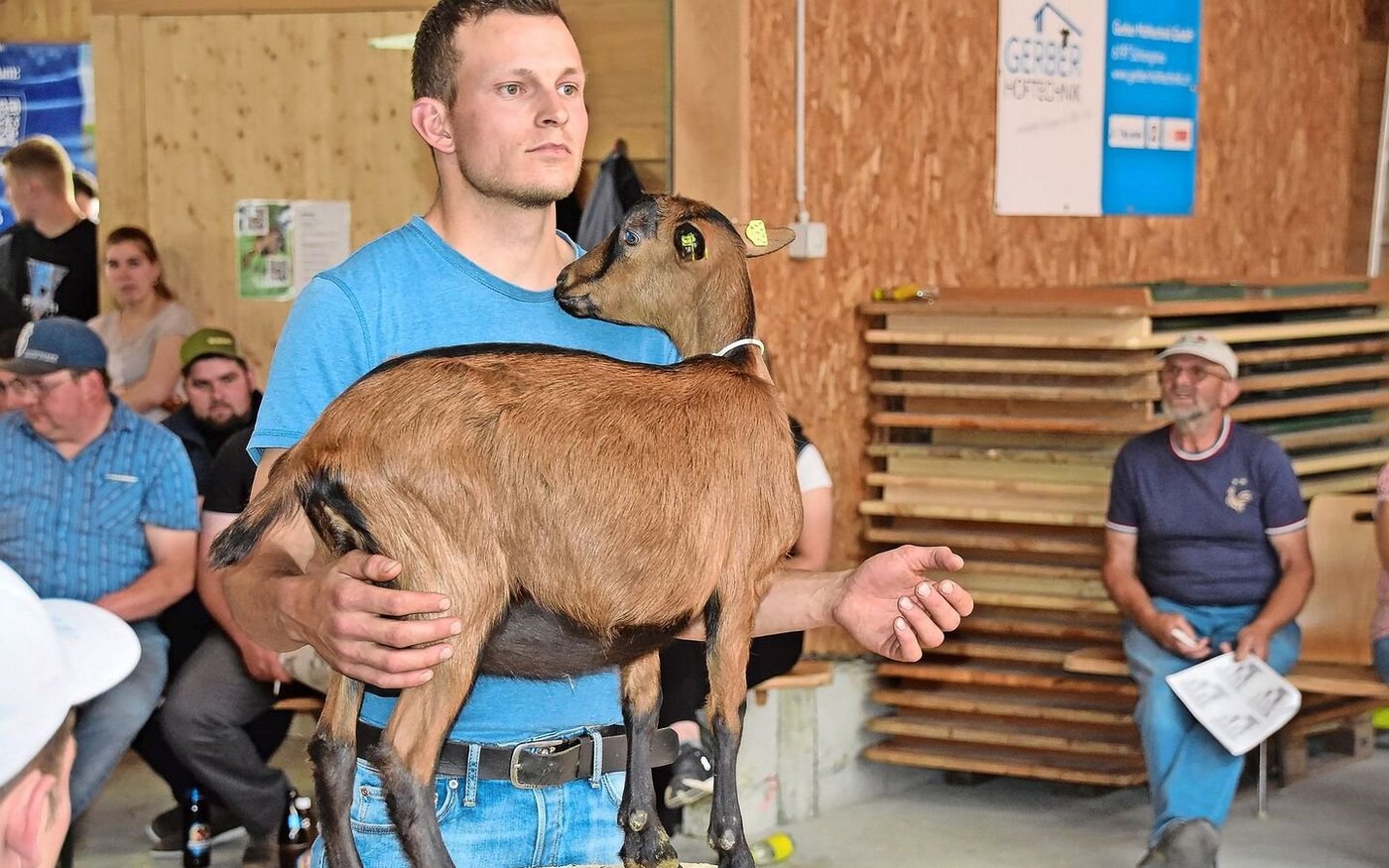 Starke Genetik von Morgen: Viele Gitzi fanden zwischen 500 und 1000 Franken einen Käufer. 