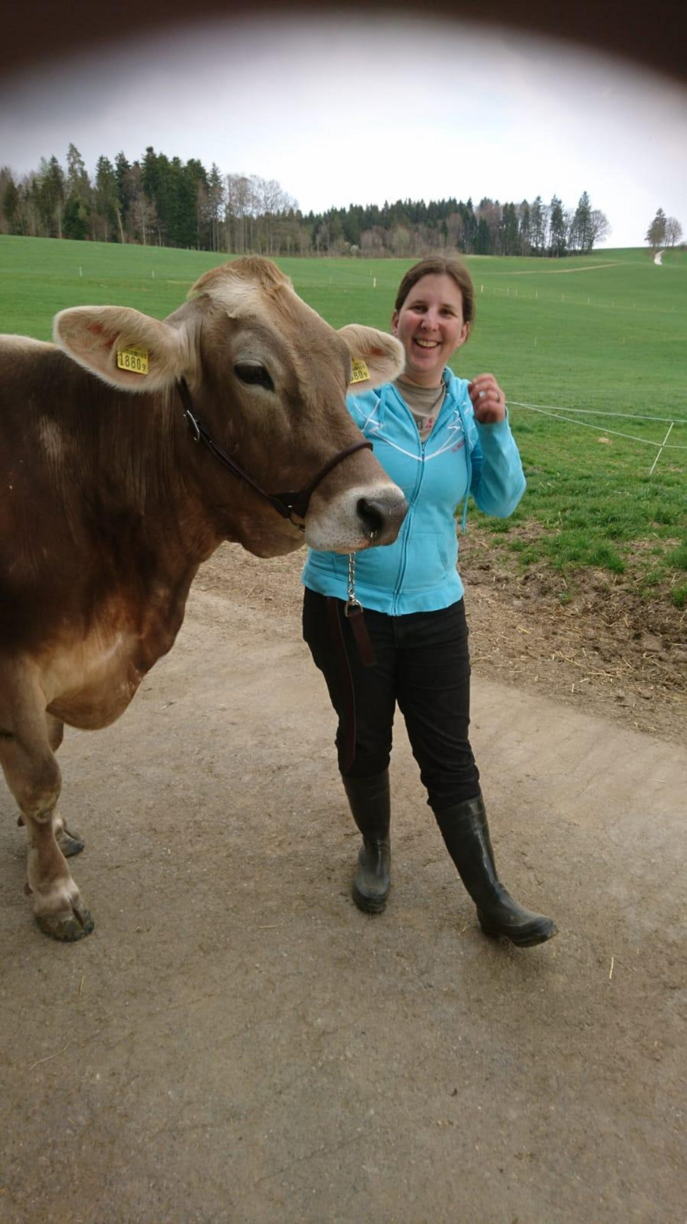 Die ideale Übungszeit ist am frühen Abend nach dem Melken. (Bild zVg)