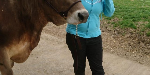 Die ideale Übungszeit ist am frühen Abend nach dem Melken. (Bild zVg)