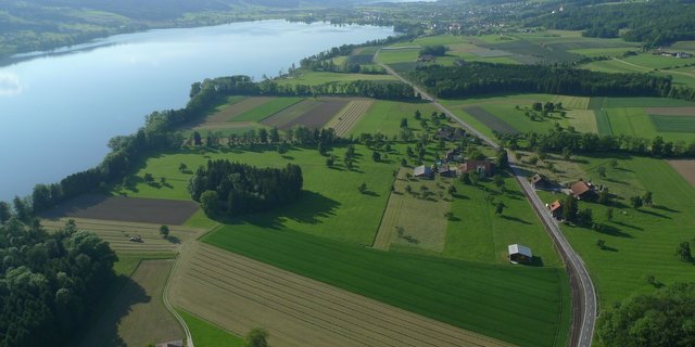 Landwirtschaftliche Flächen am Baldeggersee. Viele Böden haben einen hohen Phosphor-Vorrat. (Bild zVg)