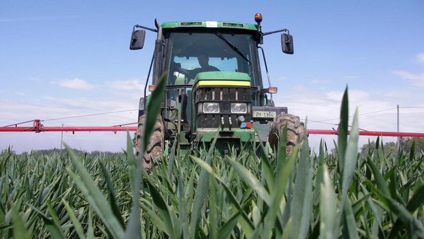 Eine Mehrheit des Zürcher Kantonsparlament will keine Pestizide mehr auf kantonseigenen Flächen. (Bild SBV)