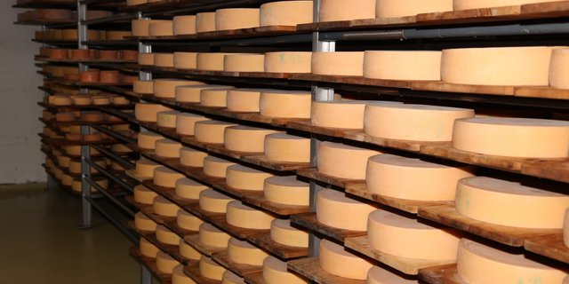 Problemlos: Halbharter und harter Alpkäse aus den Urkantonen. (Archivbild BauZ)
