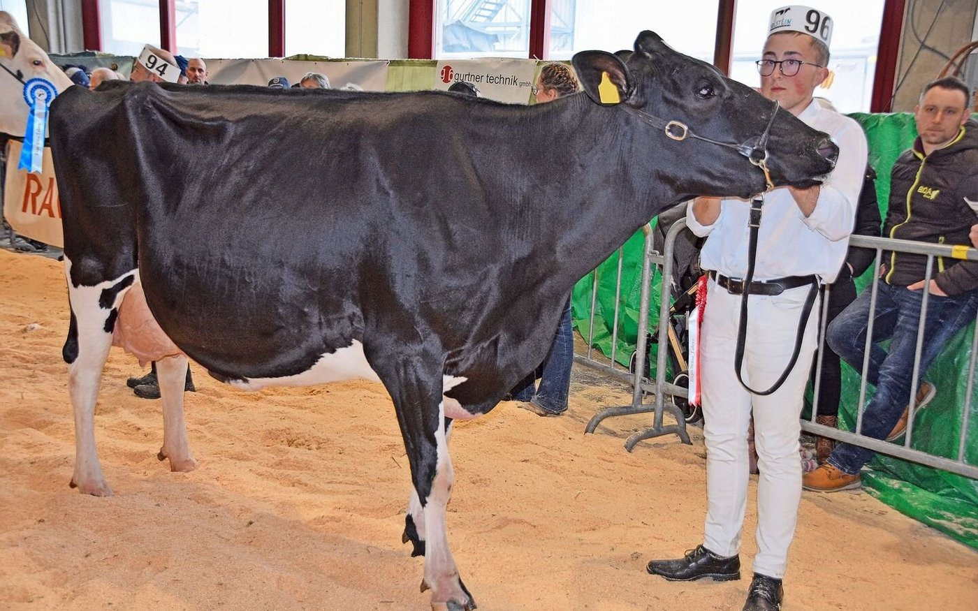Sie trumpfte bei den Kühen mit über einer Leistung von 50 000 kg auf: Edrostar Brewmaster Rivella von Loïc Julmy aus Gurmels.