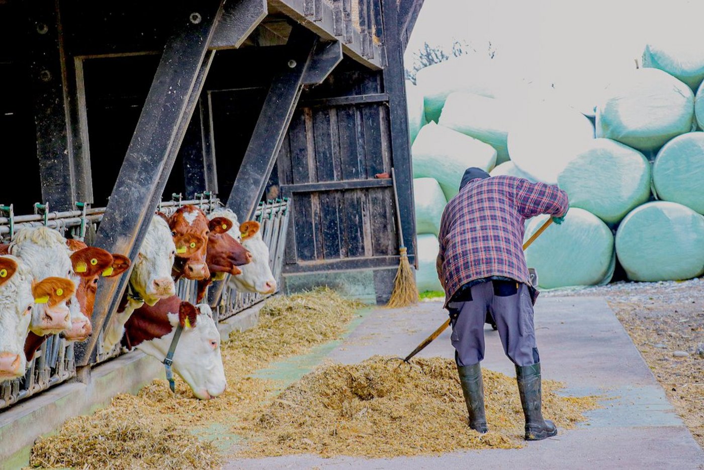 Auch nach der Rente kann man seinen Betrieb noch weiterführen.  (Bild BauZ)