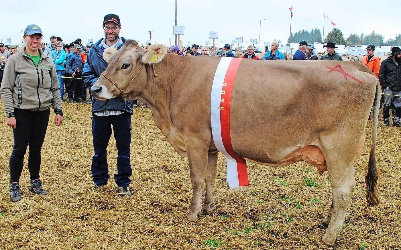 Joel Jacinta von Bernhard Gisler wurde in Einsiedeln Miss OB und Schöneuter-Siegerin OB.