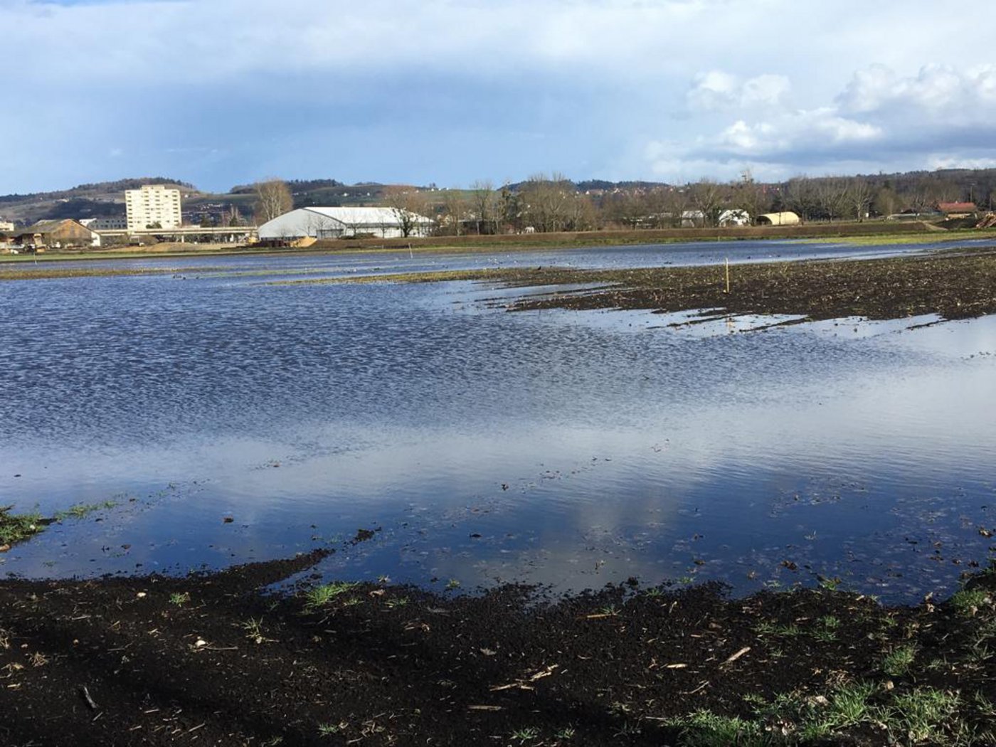 Seichte, überflutete Flächen sind wichtig für vorbeiziehende Watvögel. (Bild zVg)